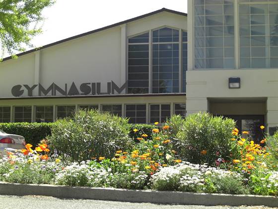 single listing image