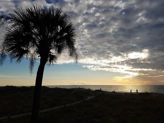 Beach Yoga Wellness-Indian Rocks Beach