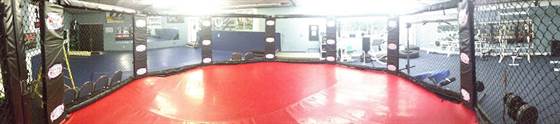 Absolute MMA - Mixed Martial Arts, Boxing, & Muay Thai Gym - Grand Prairie