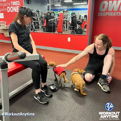 single listing image