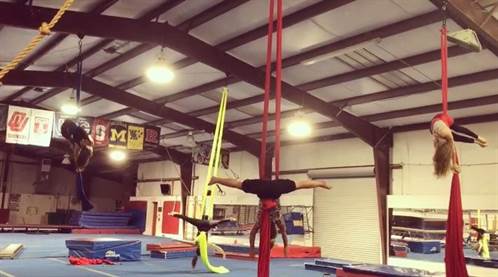 Gym Force Gymnastics & Aerial Arts