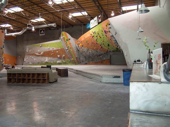 The Wall Climbing Gym