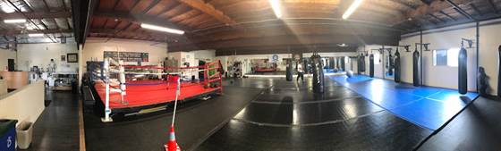 single listing image