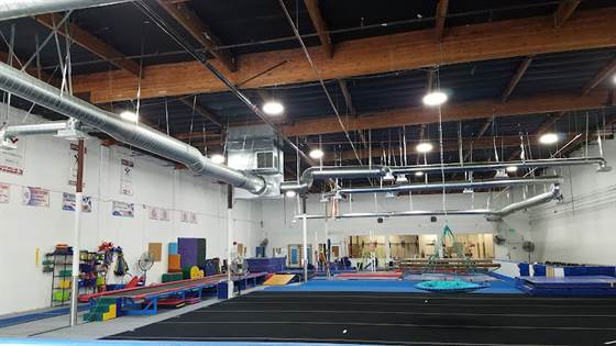 Stars Gymnastics LLC