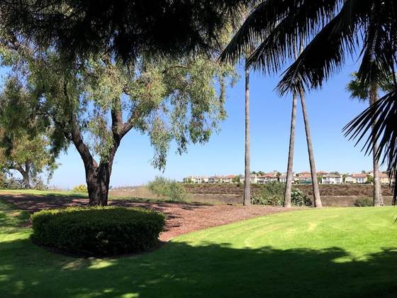 single listing image