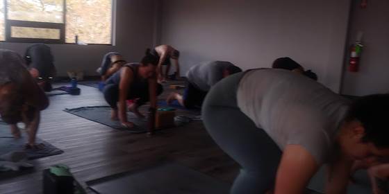 single listing image