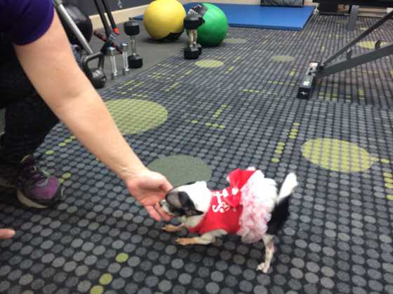 single listing image