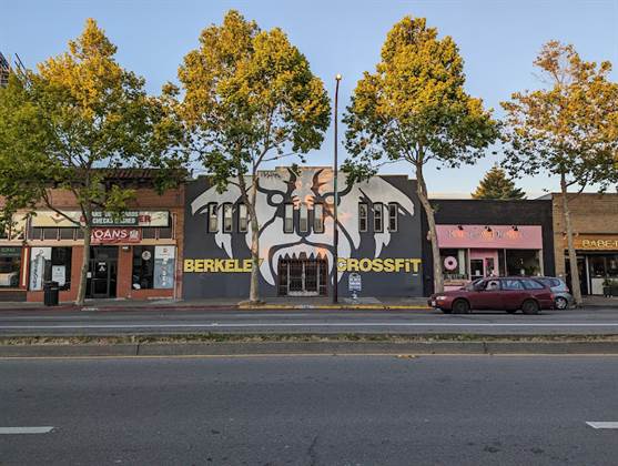 Berkeley Barbell Conditioning Fitness